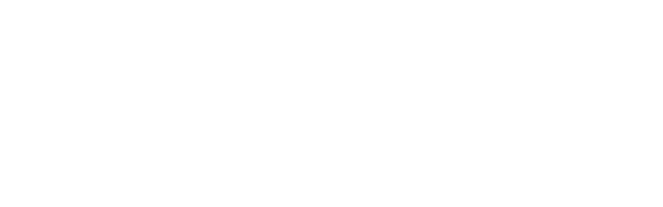 NEJSEMDLUŽNÍK.CZ